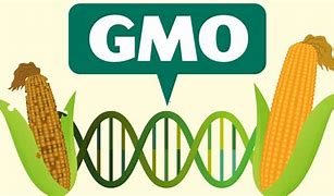 GMO: Biotechnology agency solicits medical practitioners support