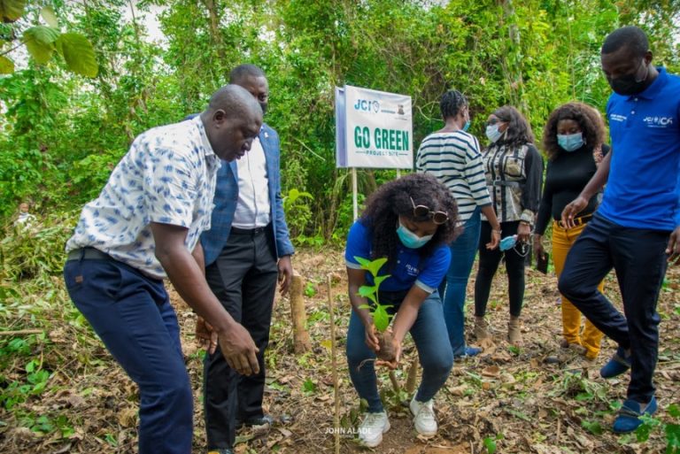 Agency pledges more afforestation activities to curb challenges of climate change
