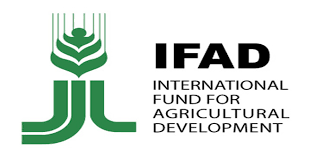 Agriculture: IFAD launches COSOP S-East zonal consultation