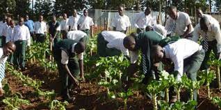 LASG delivers smartfarms to schools, charges students on agriculture