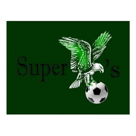 AFCON: NOC applauds Super Eagles over impressive performance